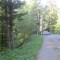 20170529_talwald_01.jpg