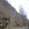 20080318_herderenwald_fsta4.1.JPG